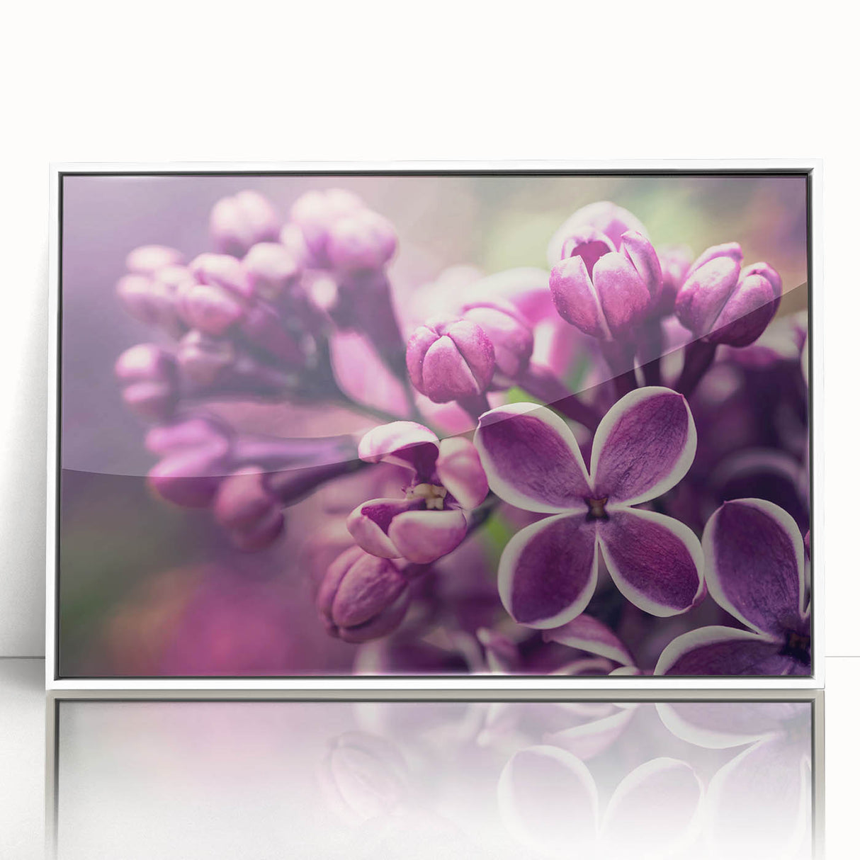 Framed botanical wall art featuring a lavender design, showcasing delicate lavender flowers with a white frame, perfect for home decor and enhancing interior aesthetics.