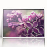 Framed botanical wall art featuring a lavender design, showcasing delicate lavender flowers with a white frame, perfect for home decor and enhancing interior aesthetics.