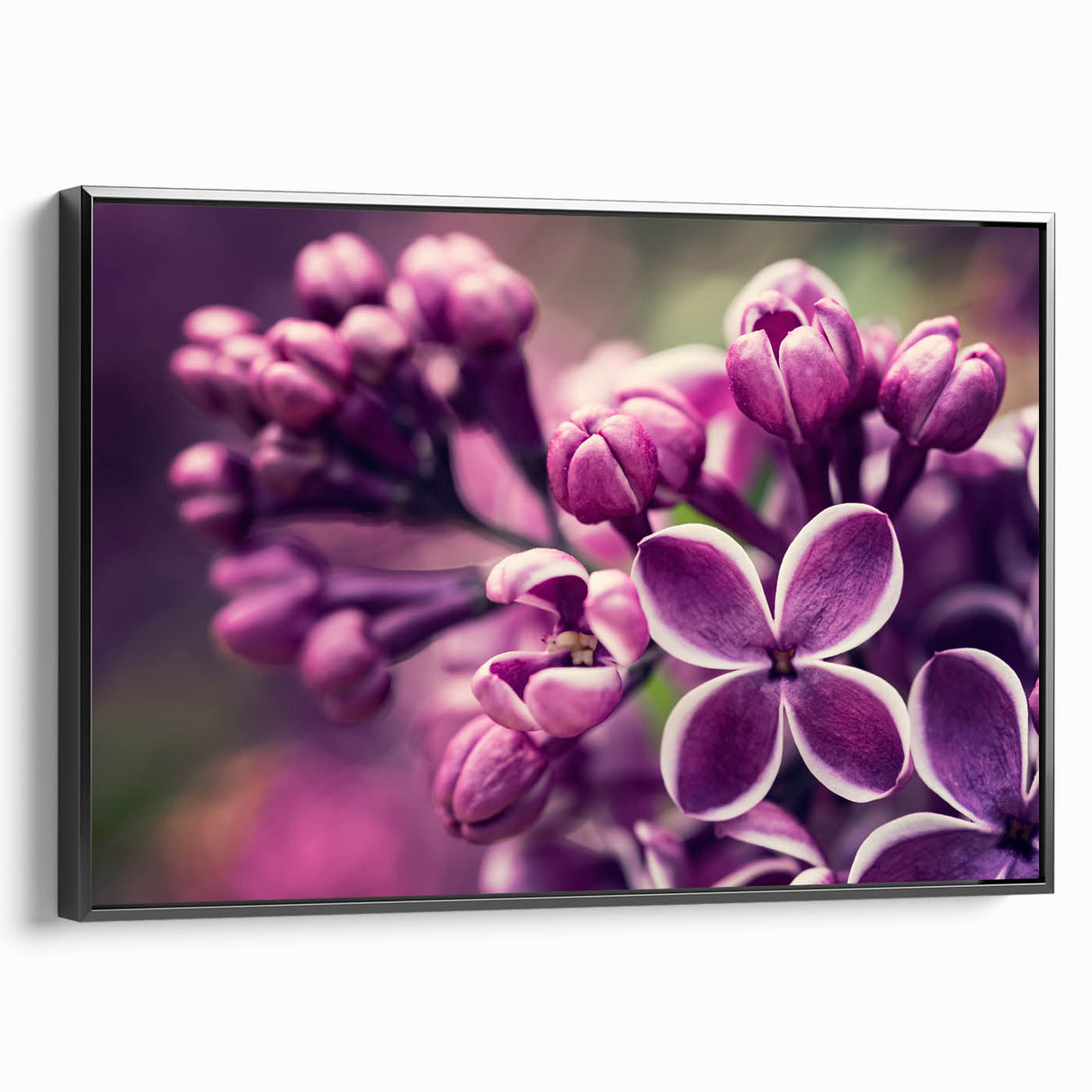 Framed canvas wall art featuring a botanical lavender design with a sleek black frame, showcasing vibrant colors and intricate floral details, perfect for home decor.