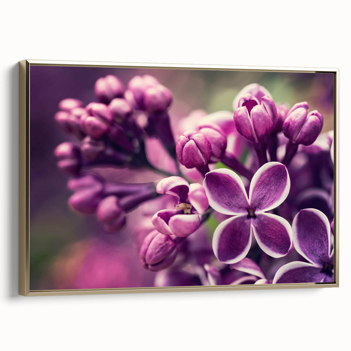 Framed wall art featuring a botanical lavender design on canvas, elegantly showcased with a gold frame, ideal for enhancing home decor with a touch of nature.