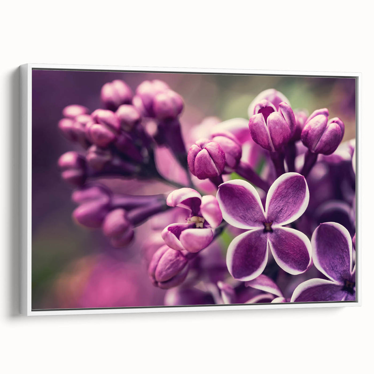 Framed canvas wall art featuring a botanical lavender design, showcasing delicate purple flowers and green leaves against a white background, ideal for home decor.