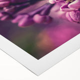 Lavender botanical wall art design on rolled canvas, showcasing delicate purple flowers and greenery, perfect for enhancing home decor with a natural aesthetic.