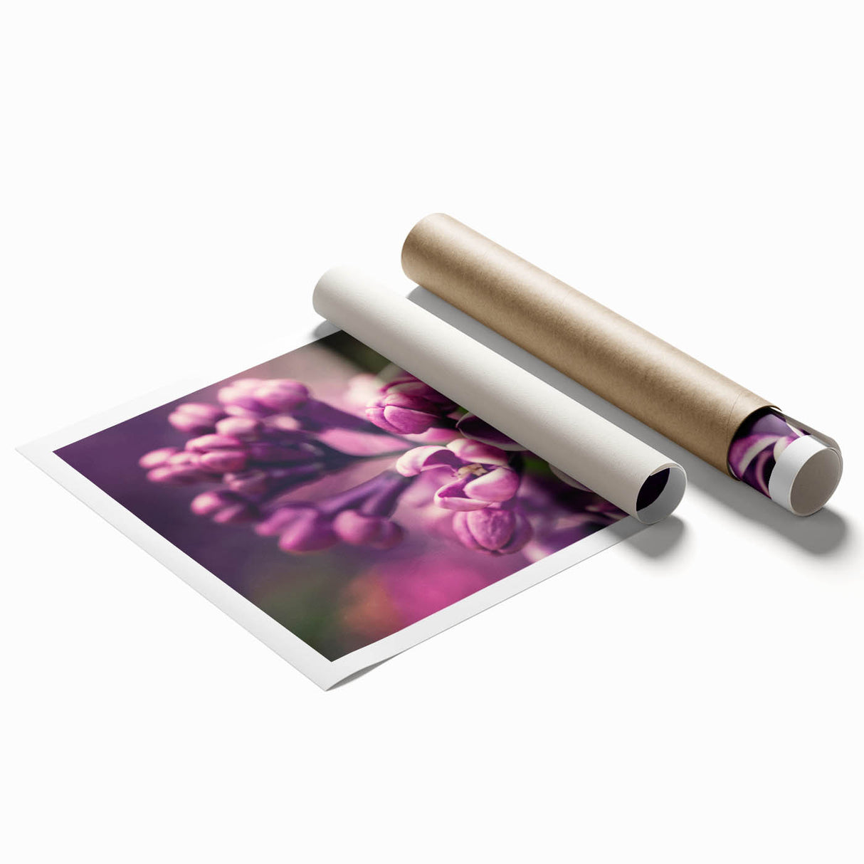 Lavender botanical wall art print featuring delicate purple flowers against a soft background, rolled and ready for framing, perfect for home decor enthusiasts.