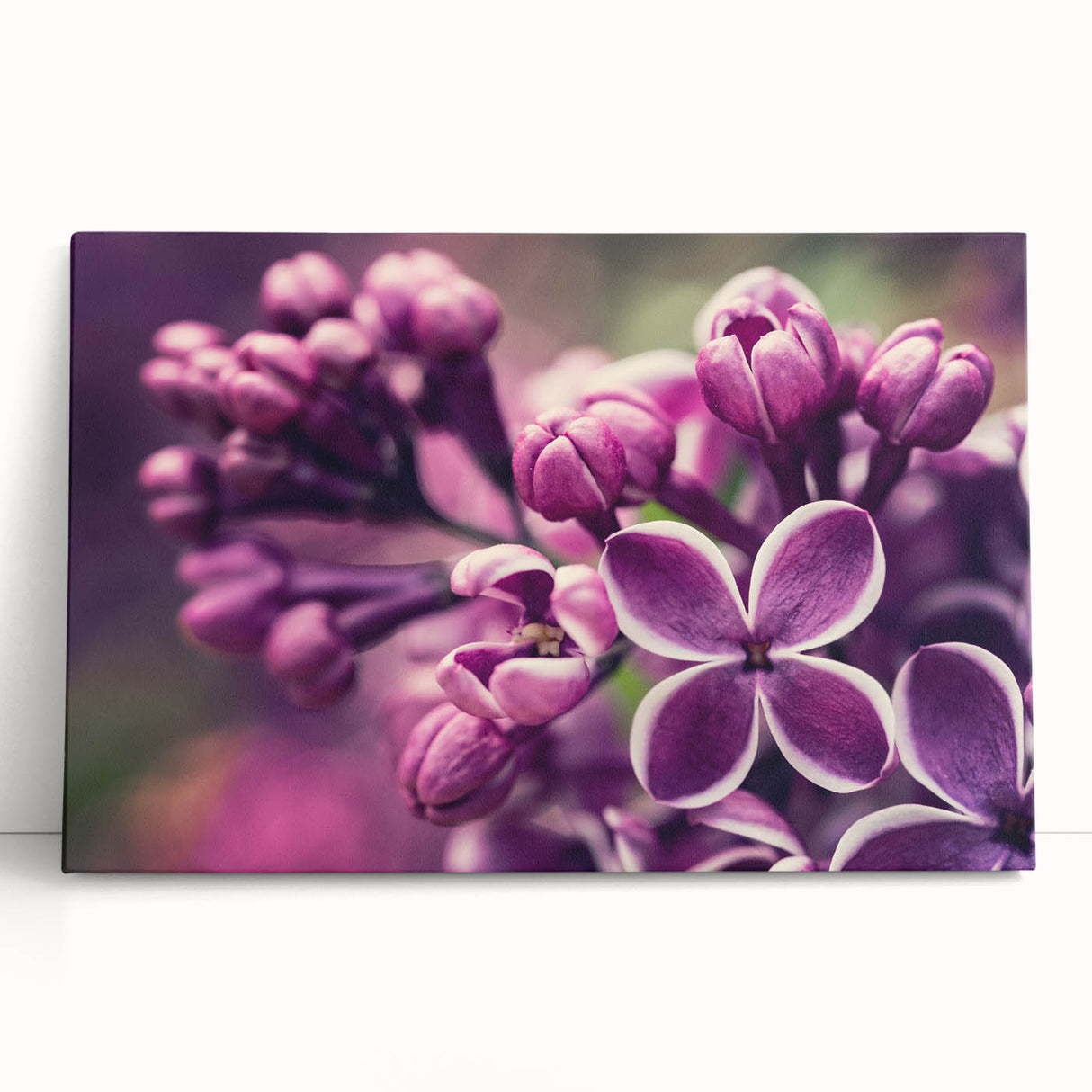 Lavender botanical wall art design on stretched canvas, showcasing delicate purple flowers and green leaves, perfect for home decor and adding a calming touch to any space.