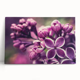 Lavender botanical wall art design on stretched canvas, showcasing delicate purple flowers and green leaves, perfect for home decor and adding a calming touch to any space.