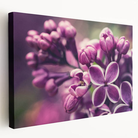 Lavender botanical wall art design on stretched canvas, showcasing delicate purple flowers and green foliage, ideal for home decor and nature-themed interiors.