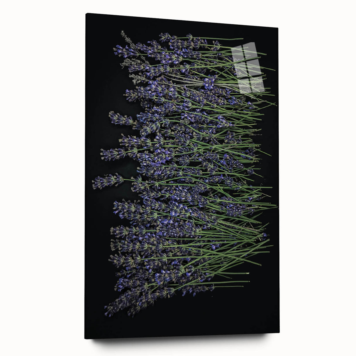Acrylic glass wall art showcasing a botanical lavender design, highlighting delicate floral details and vibrant colors, ideal for home decor enhancement.