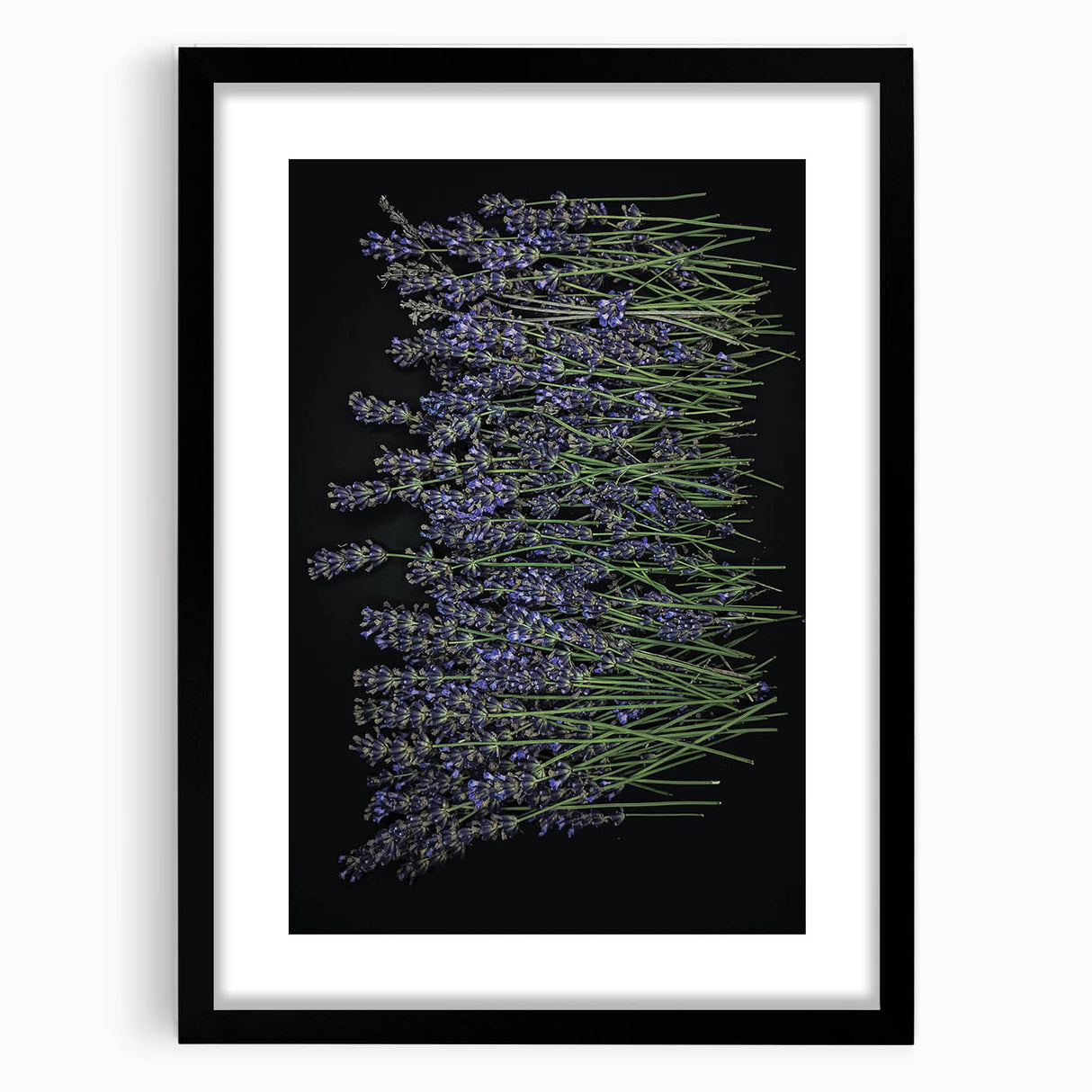 Botanical wall art featuring a lavender design, framed with a black mat and sleek frame, perfect for home decor. Ideal for adding a calming touch to any room.