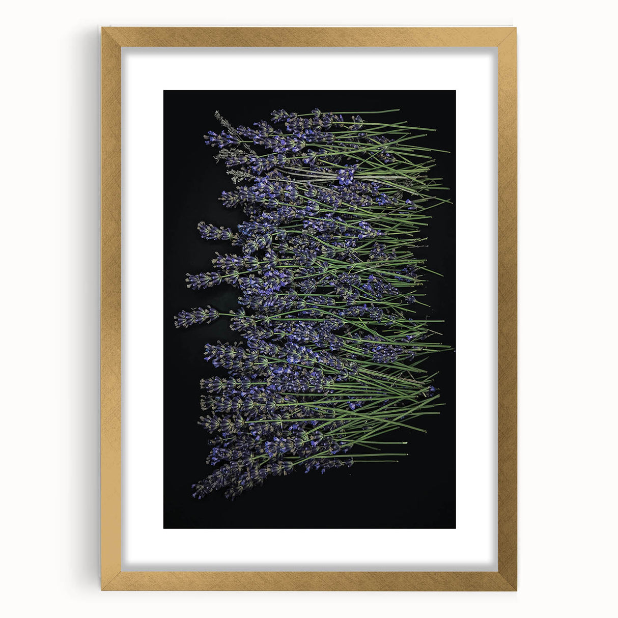 Botanical wall art featuring a lavender floral design within a gold frame and mat, elegantly displayed from the front, ideal for home decor.