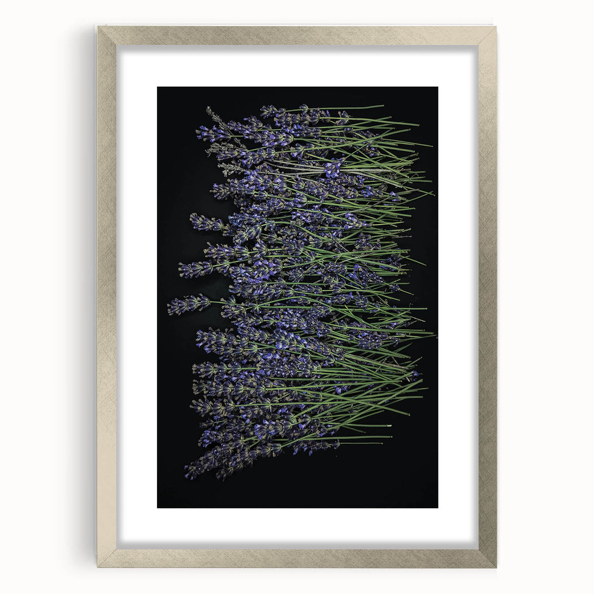 Botanical wall art featuring a lavender design, elegantly framed with a silver mat. The artwork showcases delicate floral patterns, perfect for home decor.