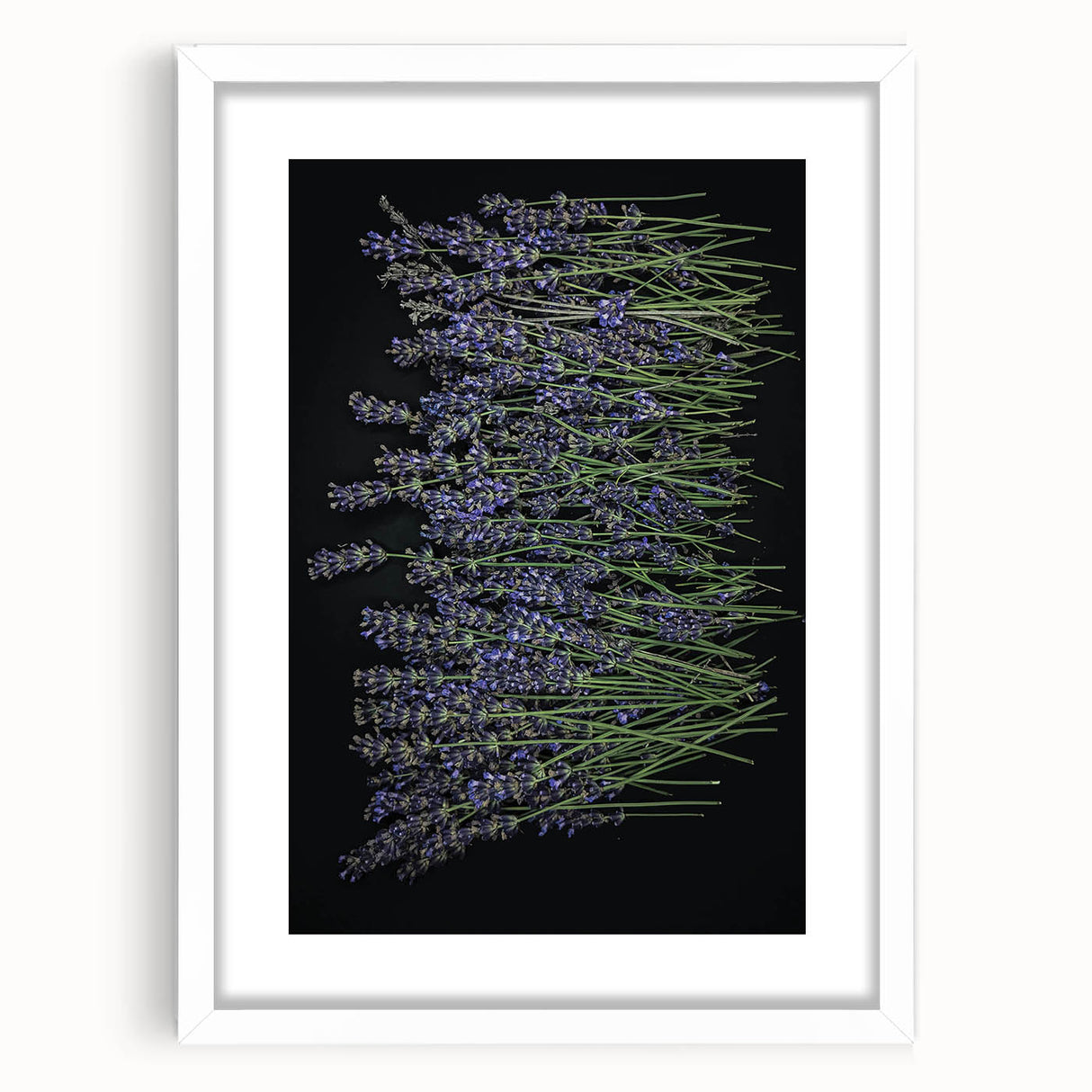 Framed botanical wall art featuring a lavender design with a white mat, showcasing delicate flower illustrations, perfect for home decor and enhancing aesthetics.