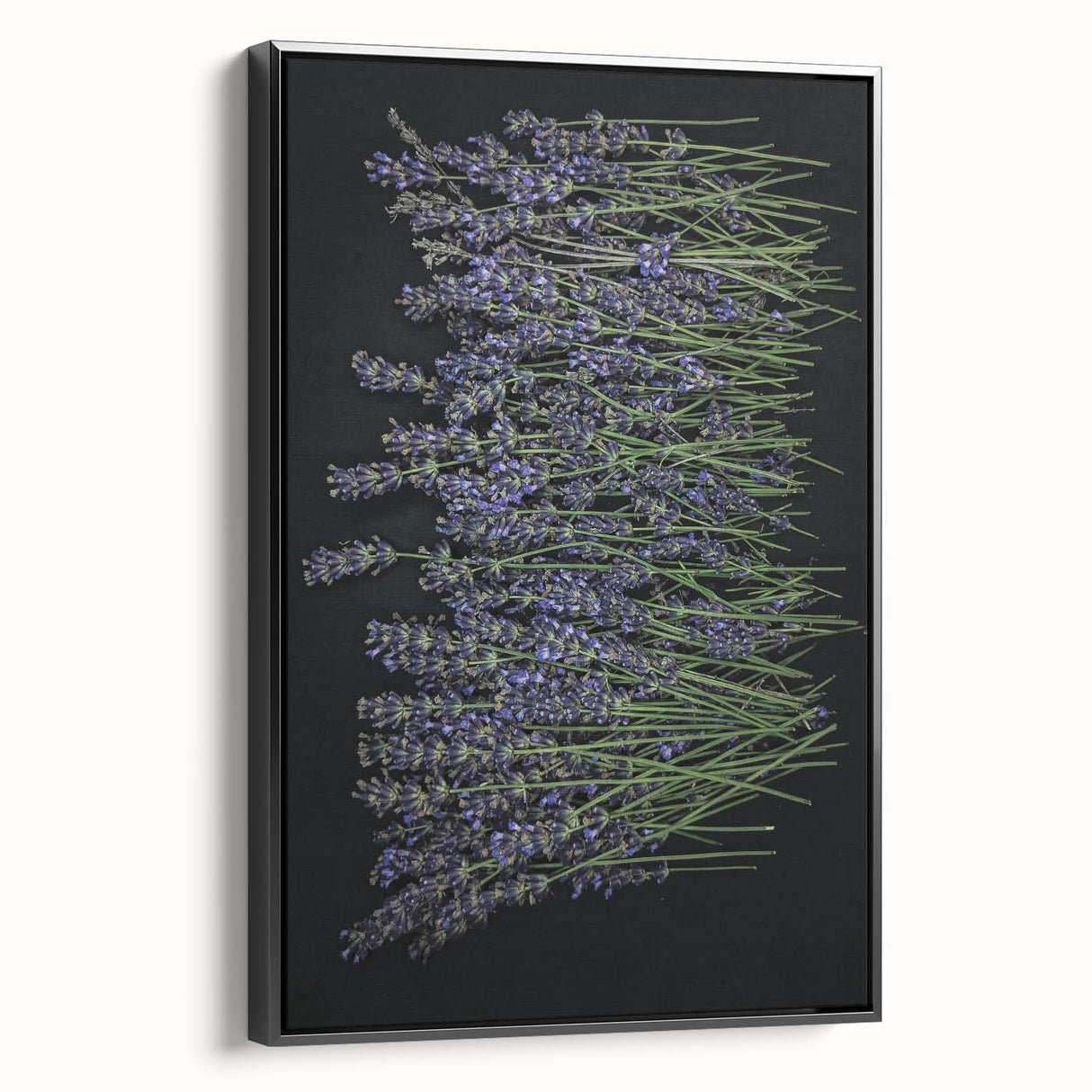 Framed canvas wall art featuring a botanical lavender design, showcasing vibrant purple flowers against a sleek black frame, perfect for home decor.