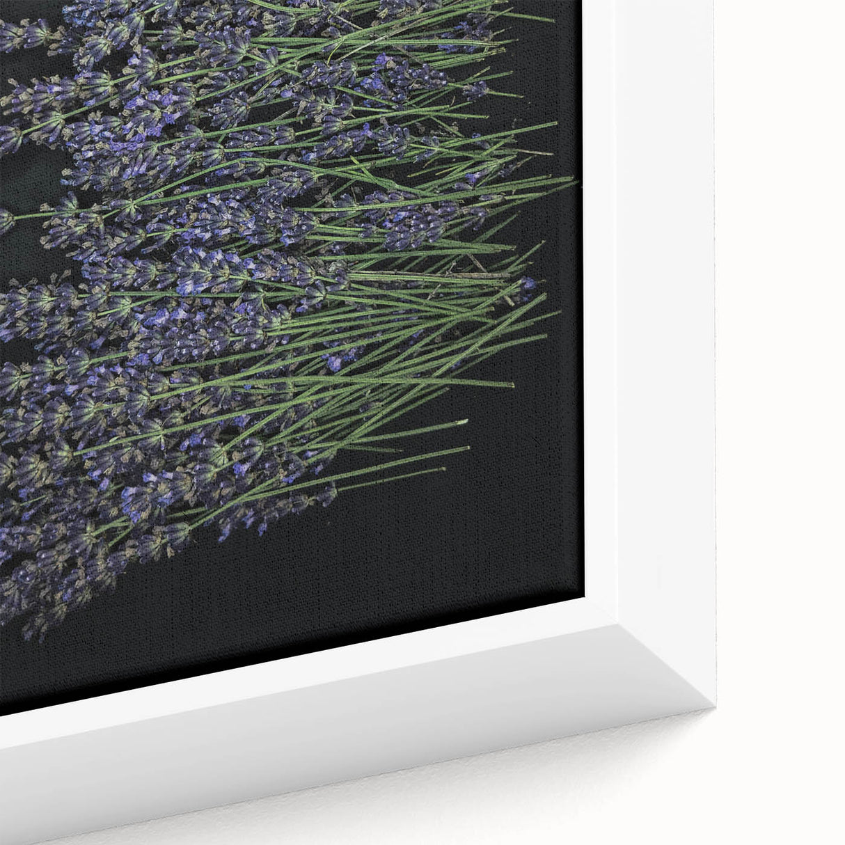 Close-up view of a framed botanical wall art piece featuring delicate lavender flowers, showcasing intricate details and vibrant colors on a textured canvas. Ideal for enhancing home decor with a touch of nature.