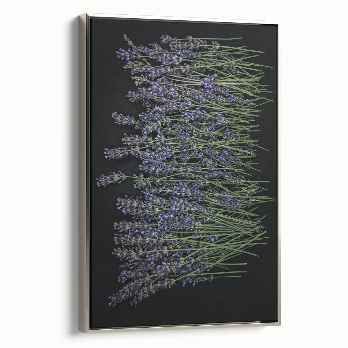 Framed canvas wall art featuring a botanical lavender design, showcasing intricate flowers and foliage in a silver frame, ideal for home decor.