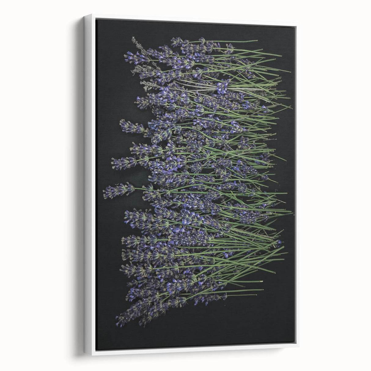 Framed botanical wall art featuring a lavender design on canvas, showcasing a white frame and a side view perspective, perfect for home decor or gifting.