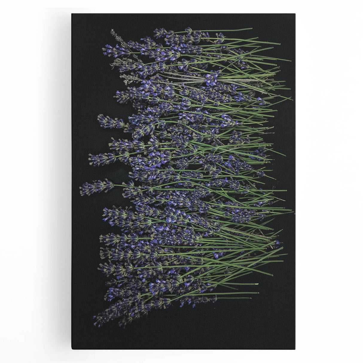 Lavender botanical wall art design stretched on canvas, showcasing delicate purple flowers and green leaves, perfect for adding a calming touch to home decor.