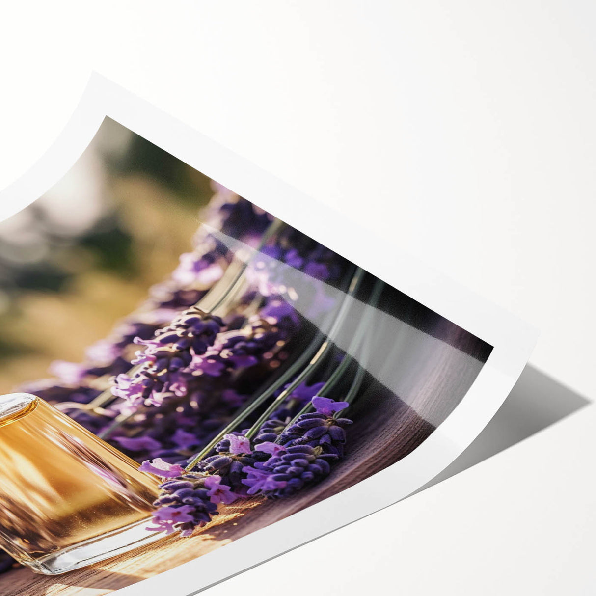 Botanical wall art print showcasing delicate lavender flowers in soft purple hues, rolled and ready for framing, perfect for enhancing home decor.