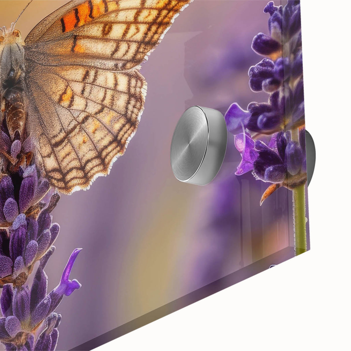 Close-up of a botanical wall art collection featuring vibrant lavender flowers on acrylic glass, showcasing intricate details and rich colors, perfect for home decor.