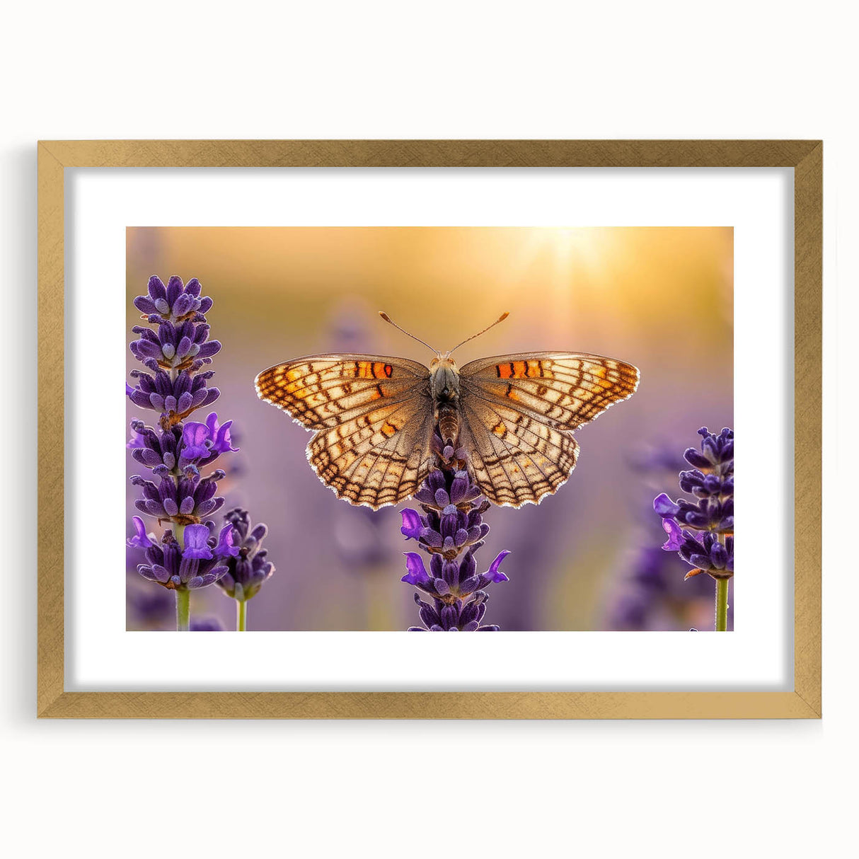 Botanical wall art collection featuring a lavender design framed in gold, with a matte finish, showcasing delicate floral illustrations perfect for home decor.