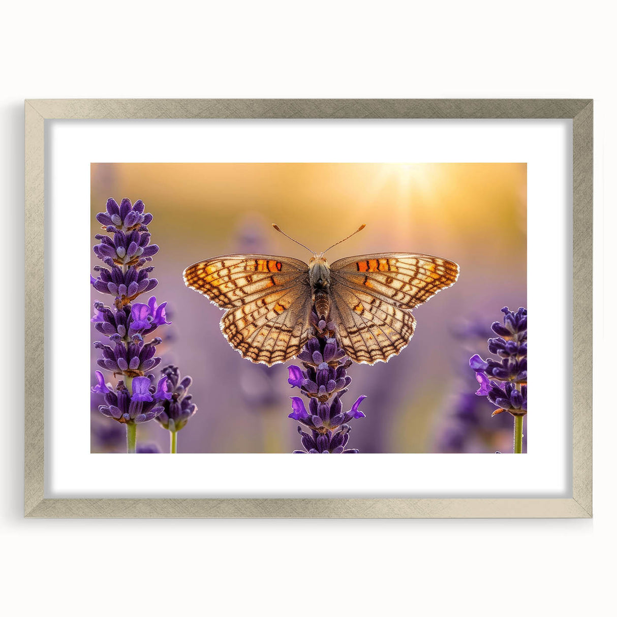 Botanical wall art collection featuring a lavender design in a silver frame with a mat. The piece showcases delicate floral illustrations, perfect for home decor.