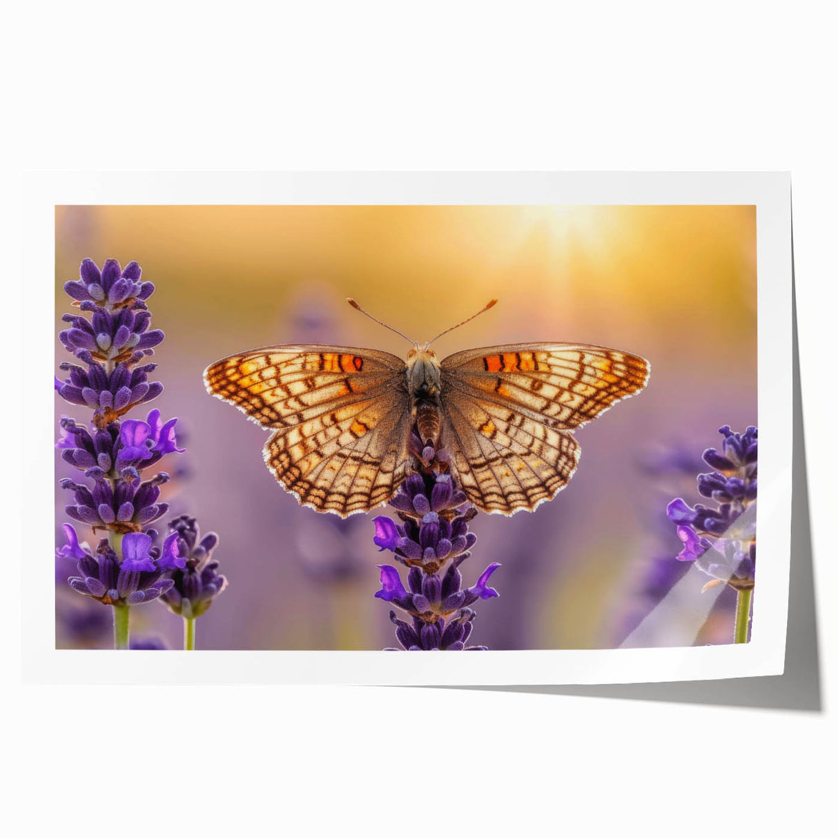 Lavender botanical wall art print featuring delicate floral illustrations in soft purple hues, rolled for easy framing or display, perfect for home decor.