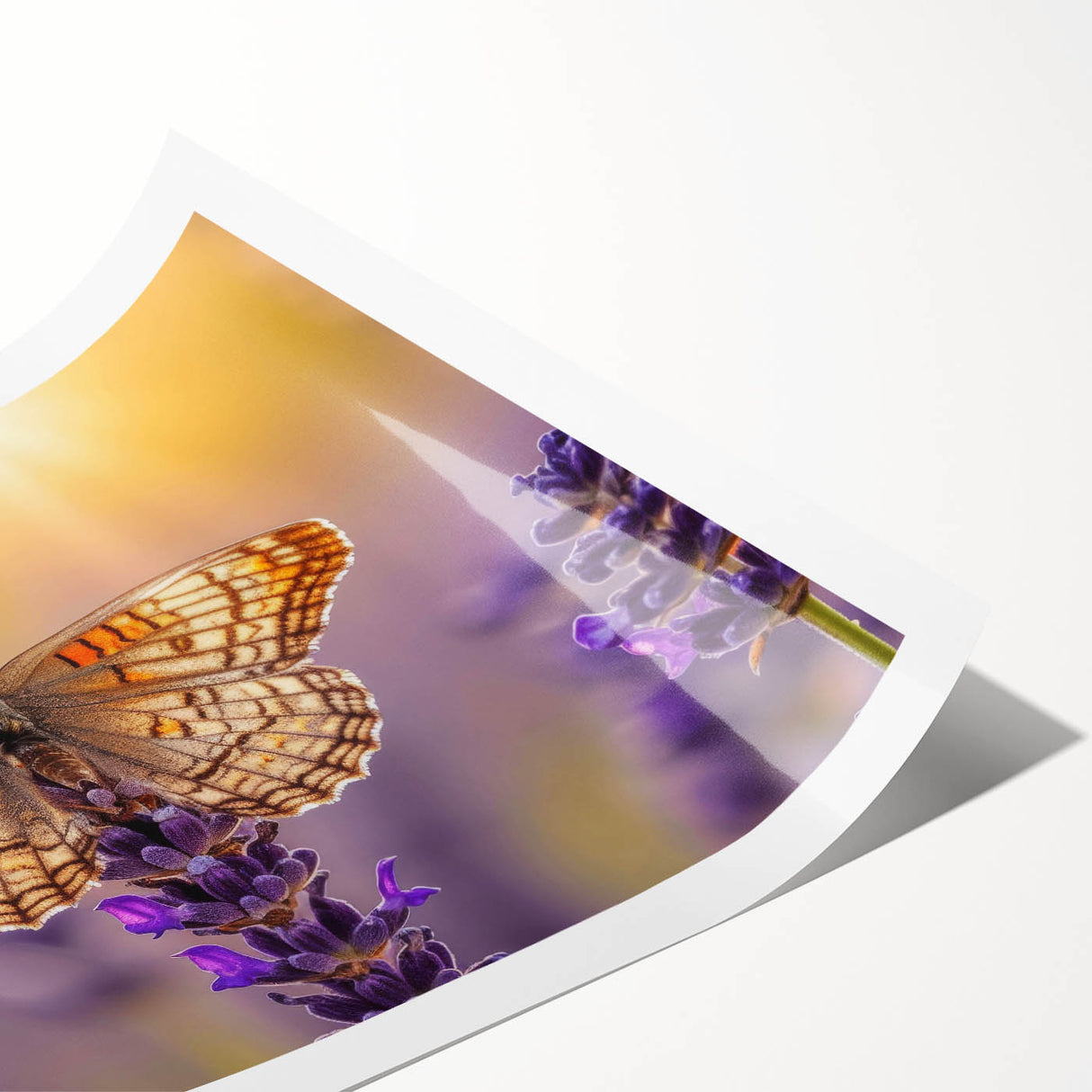 Lavender botanical wall art design featuring delicate purple flowers and green leaves, rolled into a protective tube for easy framing and display. Perfect for home decor.