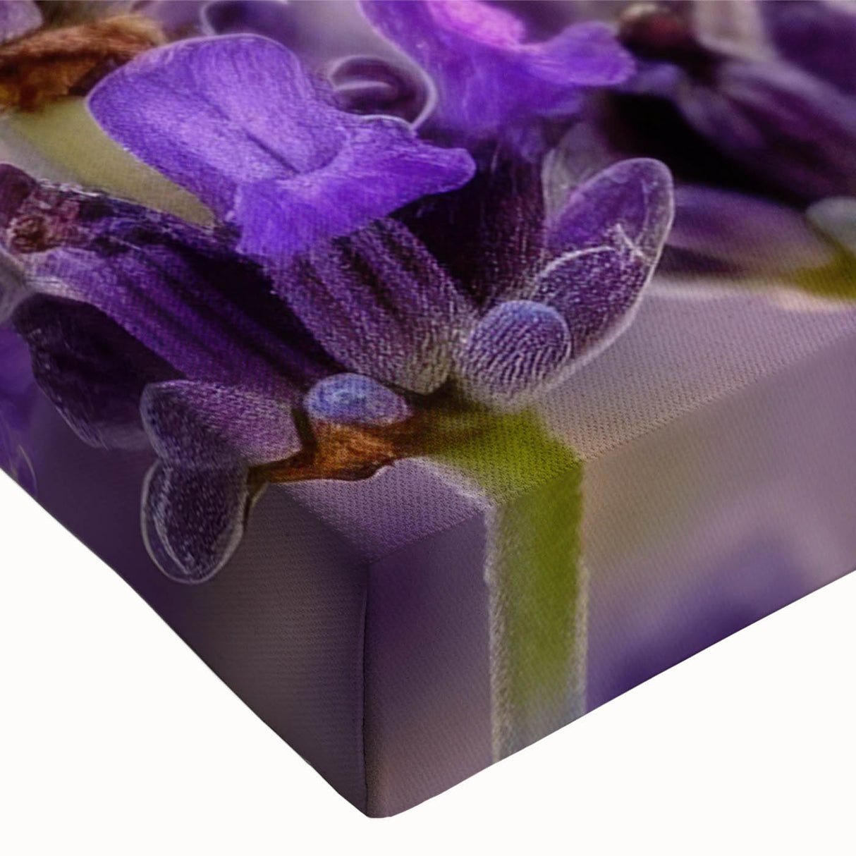 Close-up of a botanical wall art design featuring vibrant lavender flowers on stretched canvas, showcasing intricate details and vivid colors, perfect for home decor.
