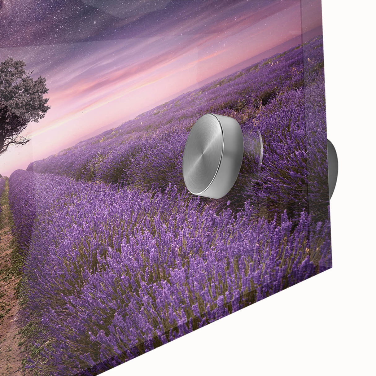 Close-up of a vibrant botanical wall art piece featuring lavender flowers, beautifully designed on acrylic glass, showcasing intricate details and colors ideal for home decor.