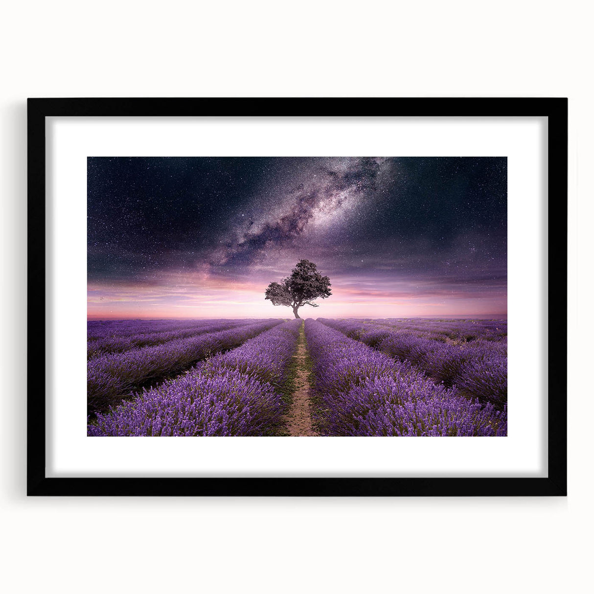 Framed botanical wall art featuring a lavender design with a black frame and mat, ideal for home decor. Perfect for adding a touch of elegance to any room.
