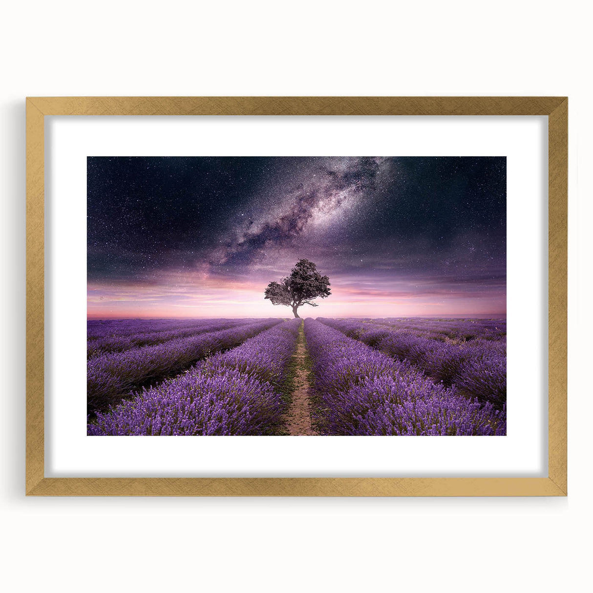Botanical lavender-themed wall art framed in gold, showcasing intricate floral designs with a mat, perfect for enhancing home decor and adding elegance.