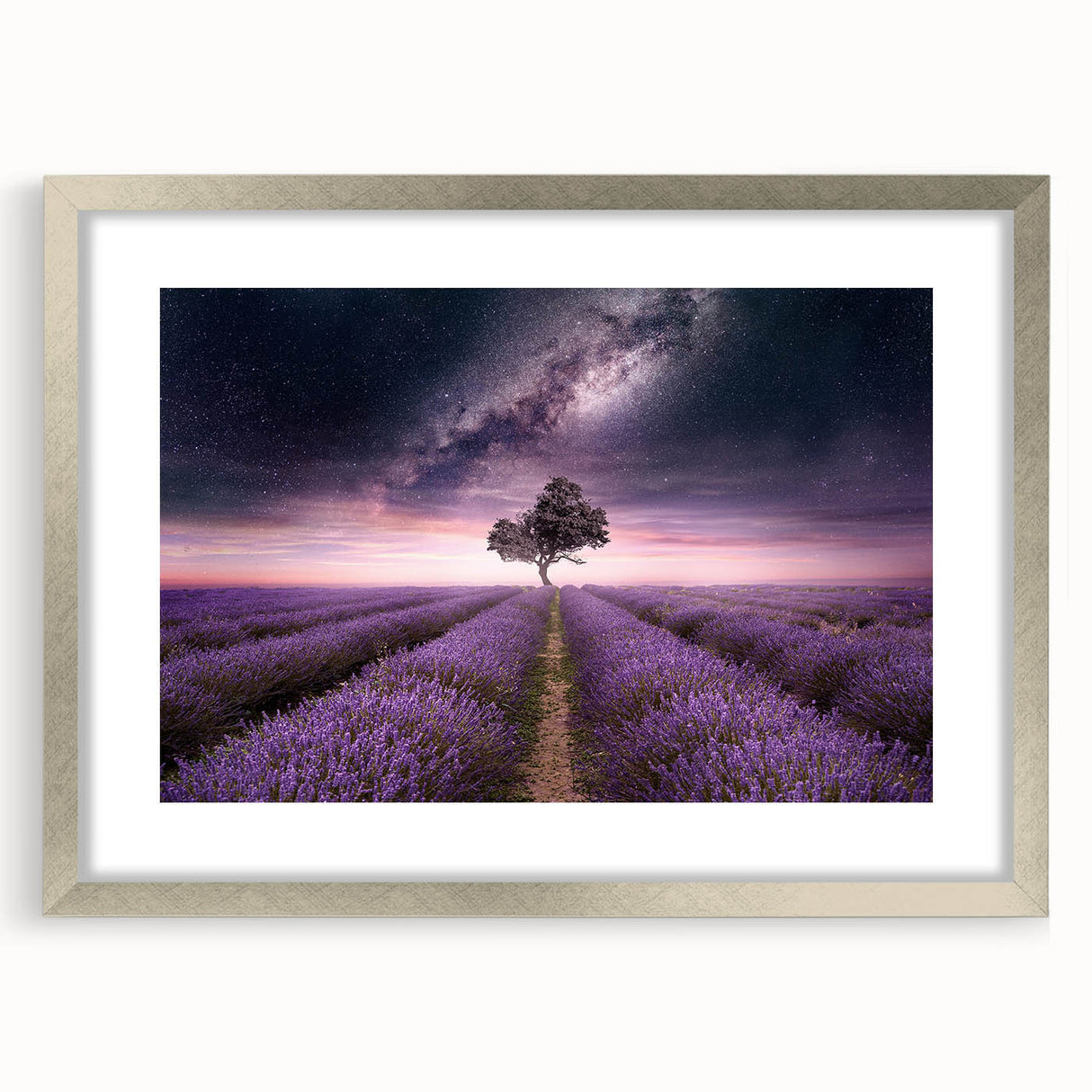 Botanical wall art featuring a lavender design in a silver frame with matting, showcasing delicate floral details, perfect for home decor enhancement.