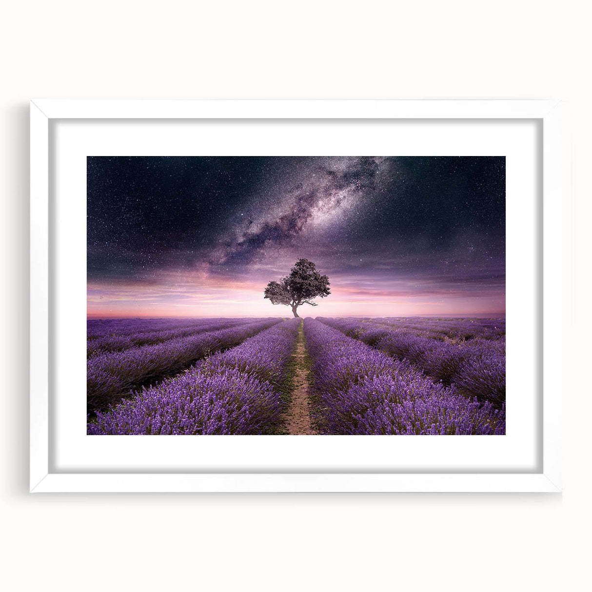 Botanical lavender wall art design framed in white, showcasing delicate flower illustrations, perfect for adding a touch of elegance to home decor.