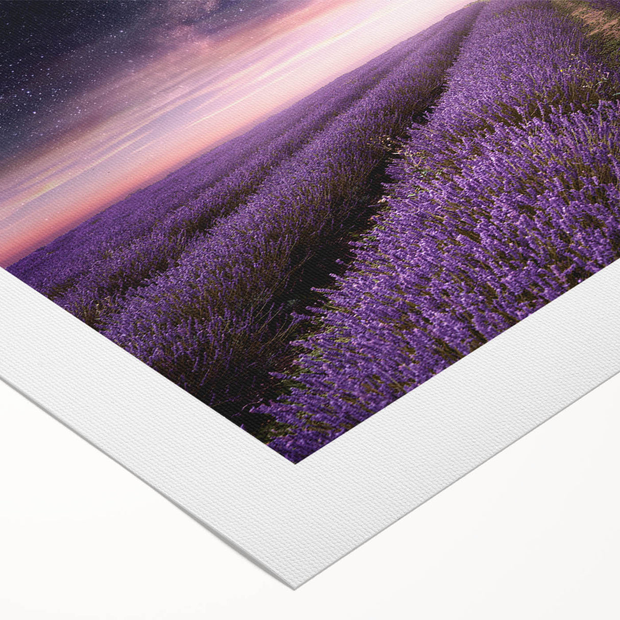 Lavender botanical wall art design on rolled canvas, showcasing delicate purple flowers against a soft background, ideal for home decor and relaxation spaces.