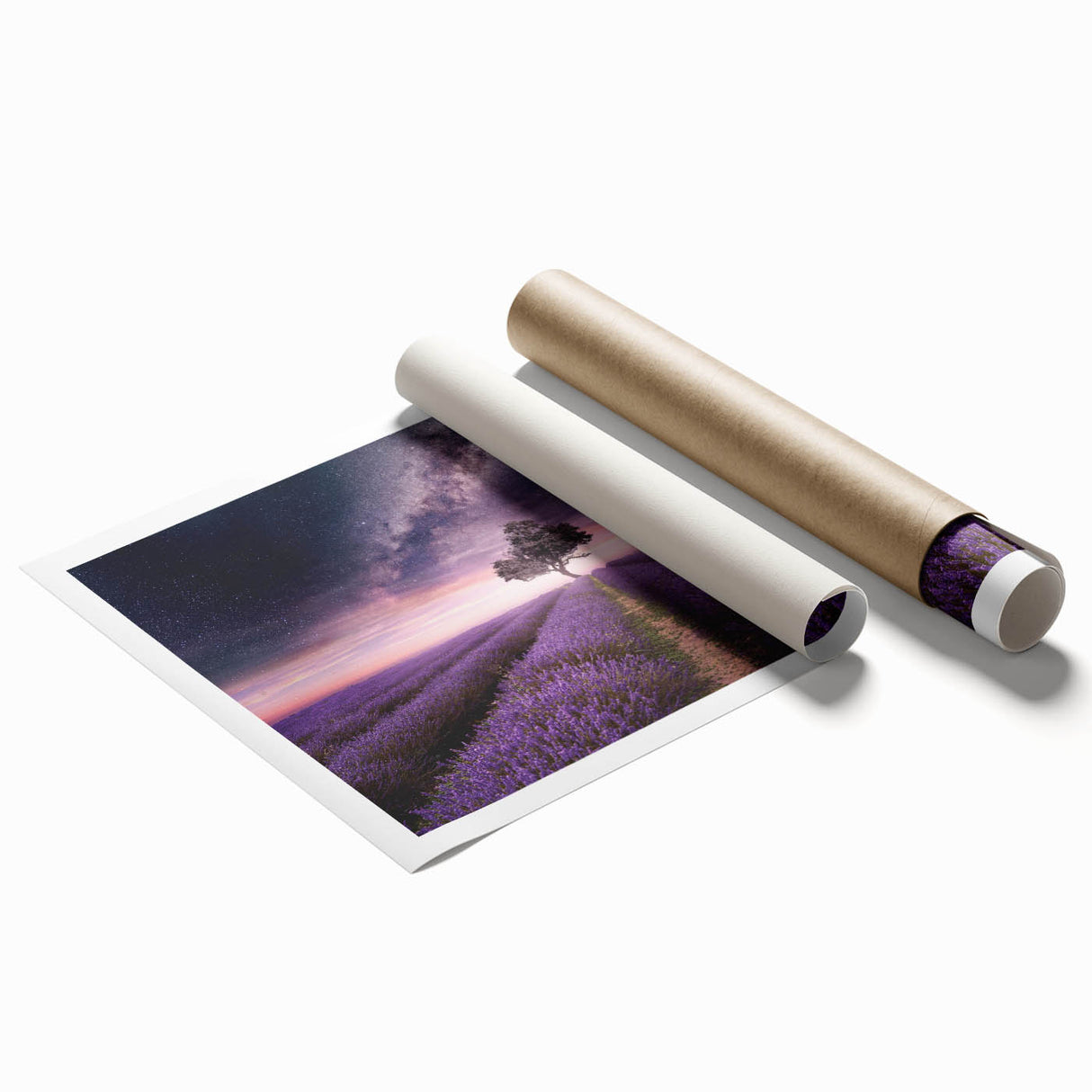 Lavender botanical wall art print showcasing intricate floral designs in soft purple hues, rolled and securely packaged for easy display and shipping.