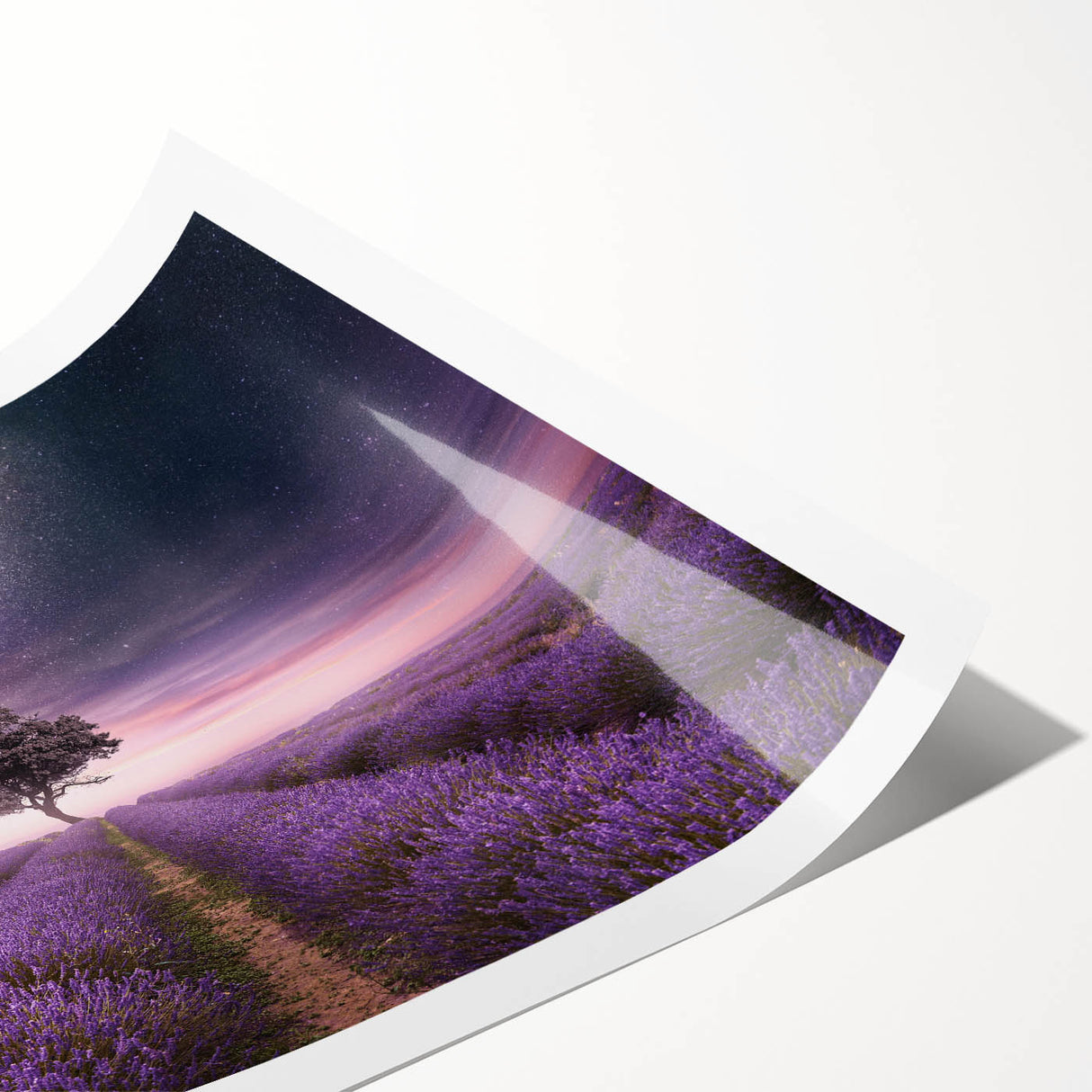 Lavender botanical wall art print showcasing delicate purple flowers and green foliage, rolled for easy display and shipping, perfect for home decor.