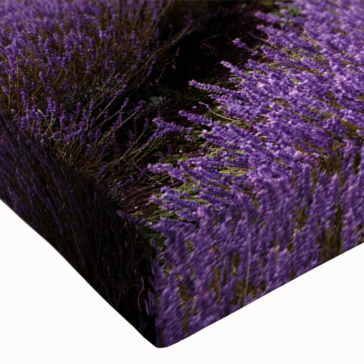 Close-up of a vibrant botanical wall art piece showcasing delicate lavender flowers on stretched canvas, perfect for home decor and nature-themed interiors.