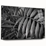 Botanical wall art collection showcasing vibrant floral and leaf designs printed on acrylic glass, elegantly displayed with decorative pins. Perfect for enhancing modern home decor.