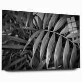 Acrylic glass wall art showcasing an intricate botanical design featuring vibrant flowers and leaves, presented in a sleek, side view without pins, perfect for modern decor.