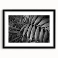 Framed botanical wall art featuring a vibrant floral and leaf design in black and white, showcasing intricate details and textures, perfect for home decor.