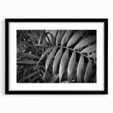 Framed botanical wall art featuring a vibrant floral and leaf design in black and white, showcasing intricate details and textures, perfect for home decor.