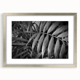 Botanical wall art collection showcasing elegant floral and leaf designs in a silver frame with a mat, perfect for adding a touch of nature to home decor.