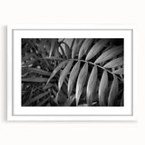 Framed botanical wall art featuring an elegant design of flowers and leaves with a white mat, perfect for home decor and enhancing any room's aesthetic.