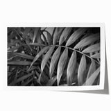 Botanical wall art print showcasing vibrant green leaves and delicate floral details on a textured background, rolled for easy display and shipping. Perfect for adding a touch of nature to home decor.