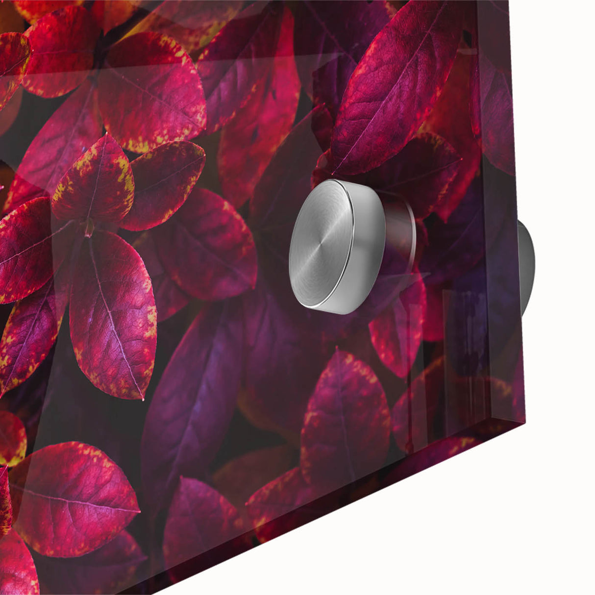 Close-up of a vibrant botanical wall art design featuring colorful flowers and lush green leaves, printed on acrylic glass, showcasing intricate details and textures ideal for home decor enhancement.