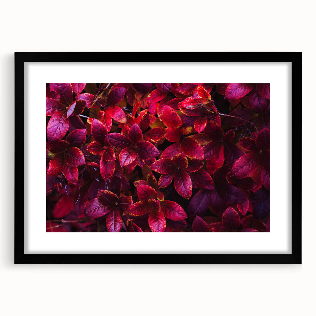 Framed botanical wall art featuring a vibrant collection of flowers and leaves in a modern black frame, perfect for home decor and interior design enhancement.