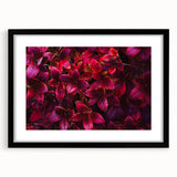 Framed botanical wall art featuring a vibrant collection of flowers and leaves in a modern black frame, perfect for home decor and interior design enhancement.