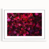 Botanical wall art featuring a collection of vibrant flowers and leaves in a white frame with matting, perfect for enhancing home decor and adding a natural touch.