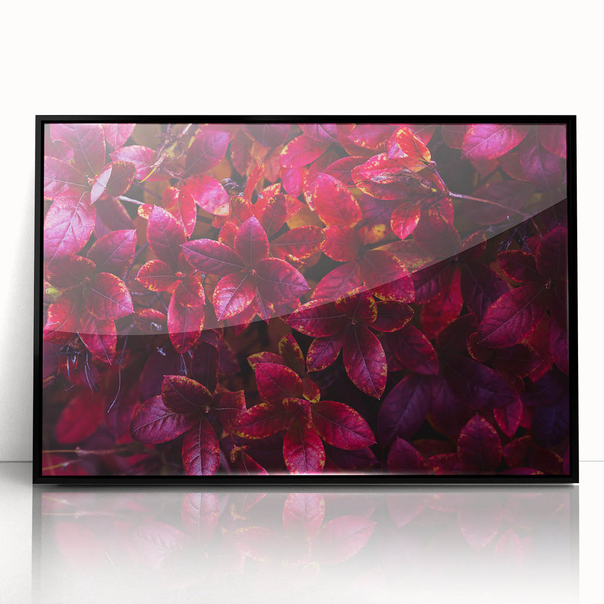 Framed wall art displaying an intricate botanical leaves design on a black background. The acrylic frame enhances the vibrant colors, making it a stunning home decor piece. Perfect for nature lovers seeking elegant interior accents.