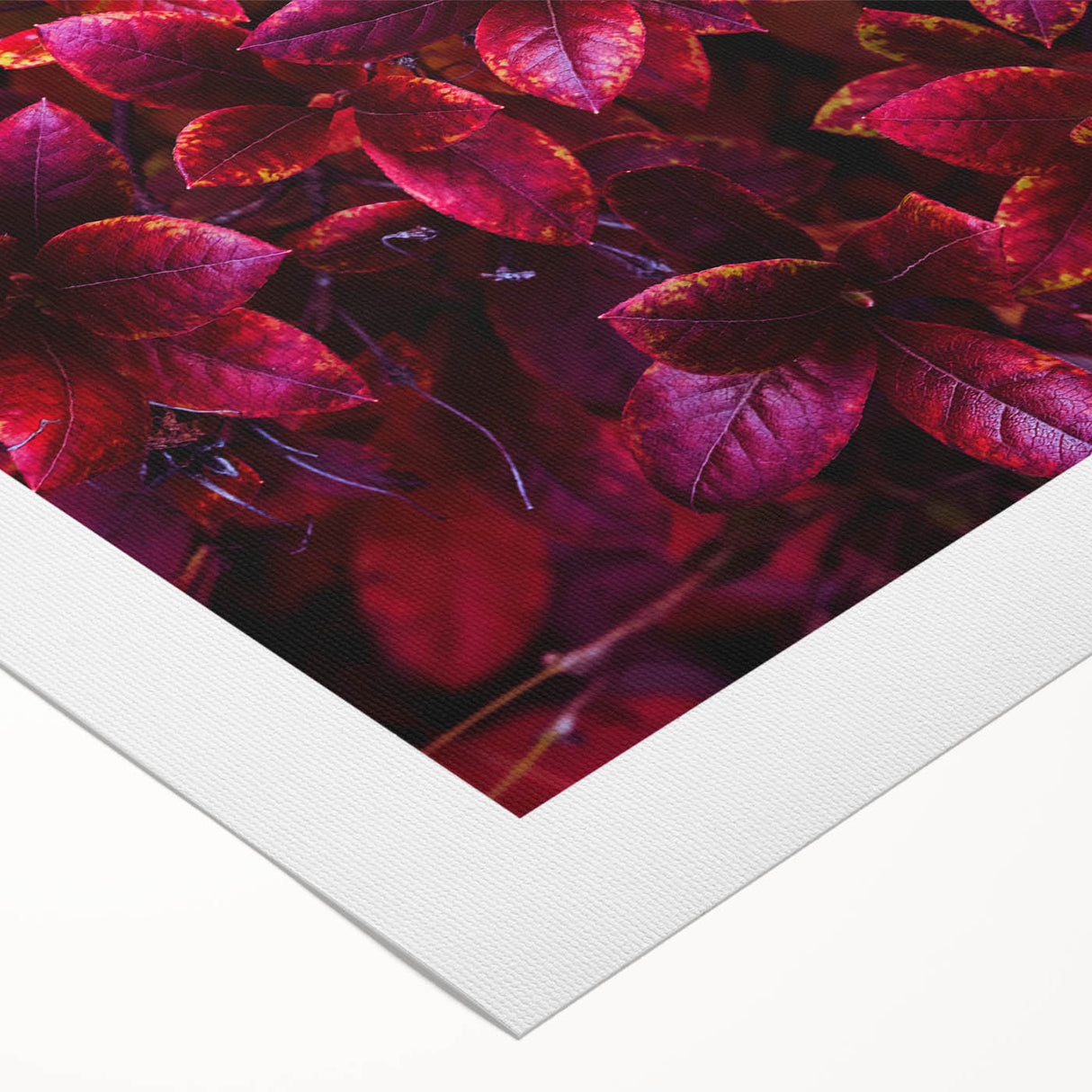 Floral wall art print on rolled canvas showcasing vibrant botanical leaves in shades of green and gold, perfect for modern home decor accents.