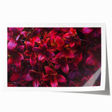 Botanical wall art print showcasing vibrant green leaves and delicate flowers, elegantly rolled and ready for framing, perfect for nature-inspired decor.